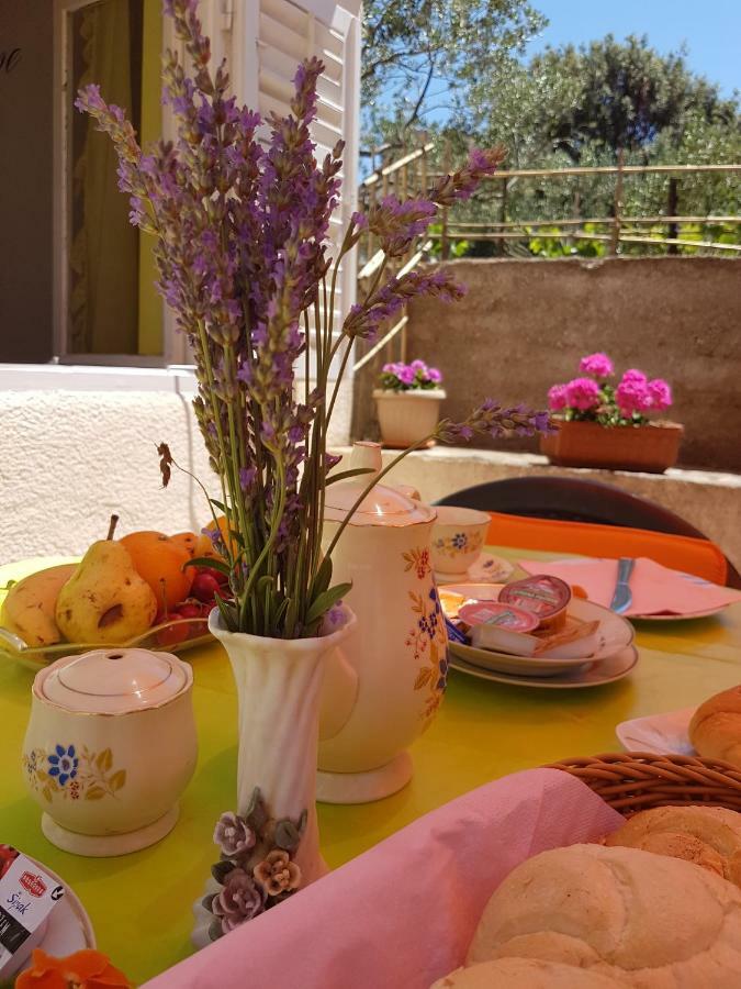 Apartments Guberina Šibenik Kültér fotó